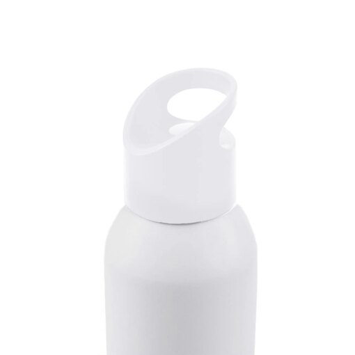 Botella Penguin - Imagen 2